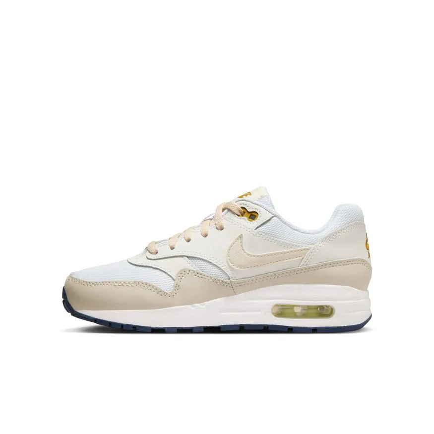 Air Max 1 DZ3307-103